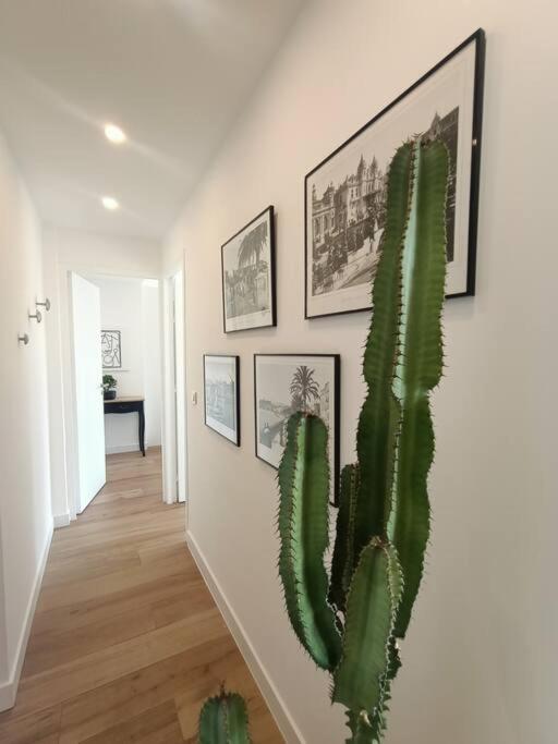 Apartamento The Chic Liberation Niza Exterior foto